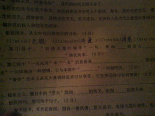 關(guān)于有接天蓮葉相伴的詩(shī)句