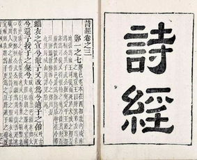 詩(shī)句