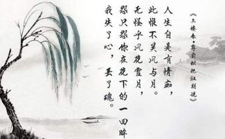 描寫(xiě)霧的古詩(shī)詩(shī)句6