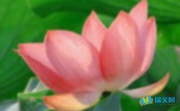 古詩(shī),詩(shī)句