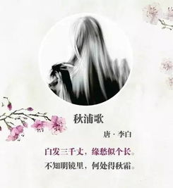 詩(shī)句,帶凝愁古