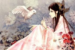 古詩(shī)詞中描寫(xiě)眼睛的詩(shī)句