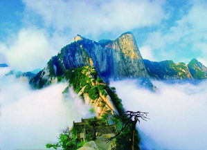 有關(guān)于華山的詩(shī)句