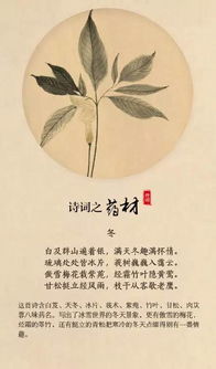 詩(shī)句