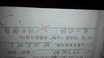 描述動(dòng)物多的古詩(shī)句