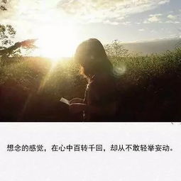 詩(shī)句,思念,幸福