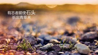 奔波在路上的勵志古詩(shī)句