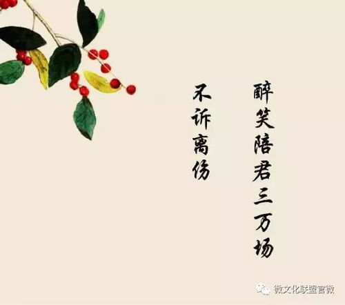 詩(shī)句,夏末