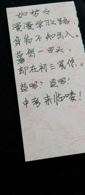 關(guān)于報復的自編詩(shī)句