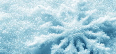 關(guān)于雪花在北風(fēng)中的詩(shī)句