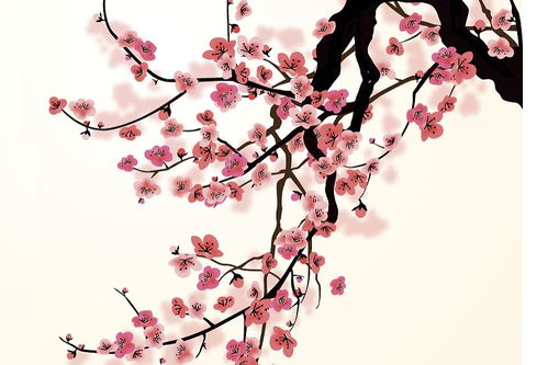 梅花詩(shī)句有哲理的古詩(shī)
