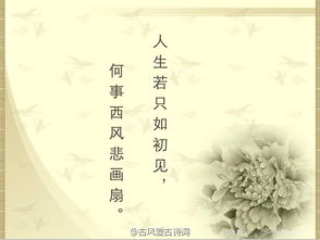 情侶古詩(shī)句子唯美