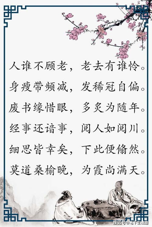 洛陽(yáng),兩句,詩(shī)句