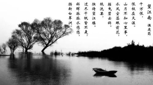 詩(shī)句,親人,后悔