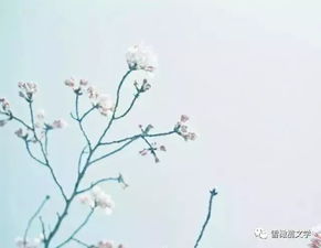 四字關(guān)于愛(ài)情詩(shī)句古詩(shī)