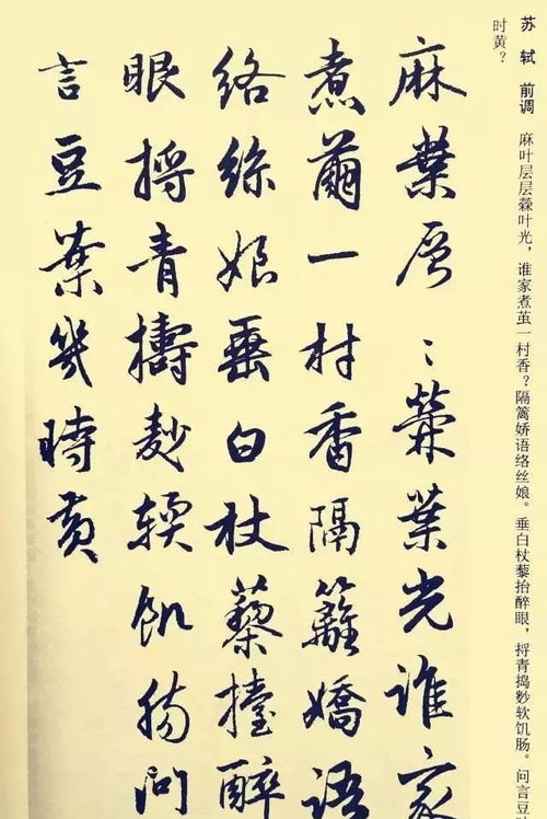 寫(xiě)陽(yáng)光美的詩(shī)句古詩(shī)