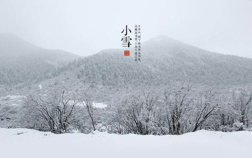 關(guān)于周春暉的詩(shī)句