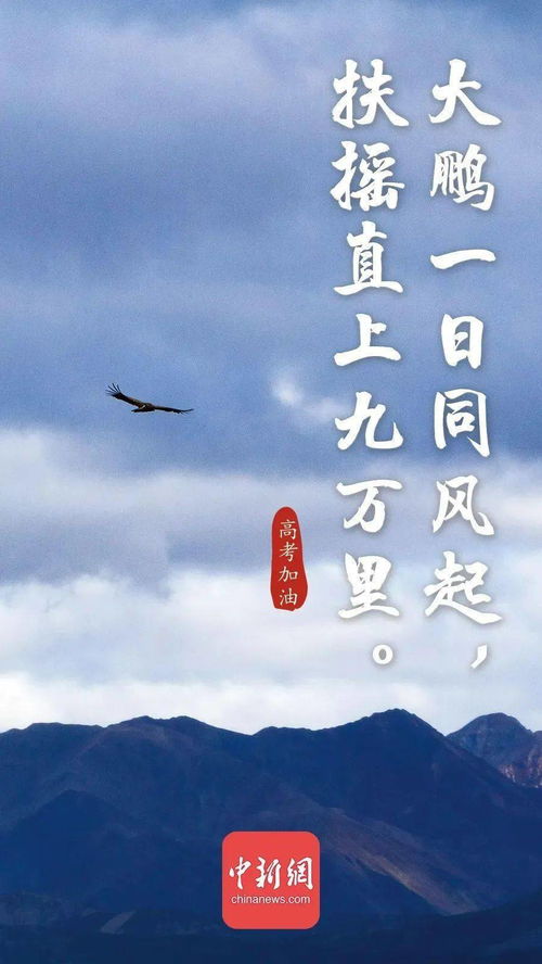詩(shī)句