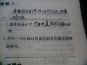 詩(shī)句,情誼,描寫(xiě),朋友