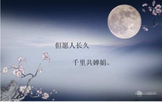 寫(xiě)中秋節月亮的詩(shī)句古詩(shī)