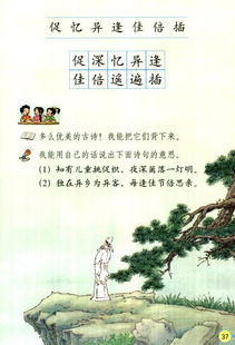 古詩(shī),詩(shī)句