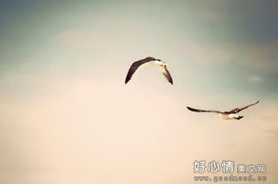 公司展望未來(lái)的古詩(shī)句