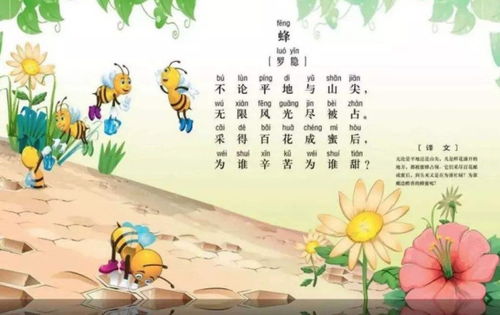 憐憫古詩(shī)句