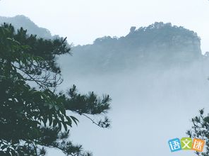 贊美贊美廬山的詩(shī)句古詩(shī)