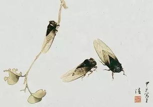 蟬的詩(shī)句古詩(shī),有關(guān)蟬的詩(shī)句古詩(shī),贊美蟬的詩(shī)句古詩(shī)