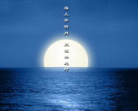 詩(shī)句,明月,大海
