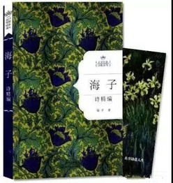關(guān)于成就理想的詩(shī)句