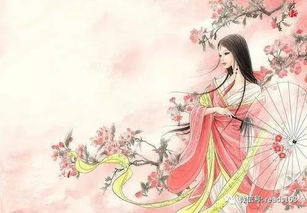 關(guān)于相惜的詩(shī)句
