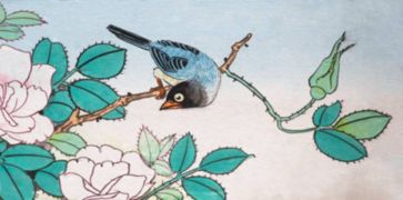 寫(xiě)鳥(niǎo)的詩(shī)句古詩(shī)人來(lái)鳥(niǎo)不驚