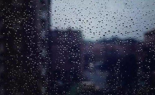 含有雨字的古詩(shī)句,寫(xiě)出含有雨的古詩(shī)句,小學(xué)生含有水的古詩(shī)句