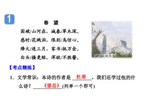 中考語(yǔ)文必考古詩(shī)句