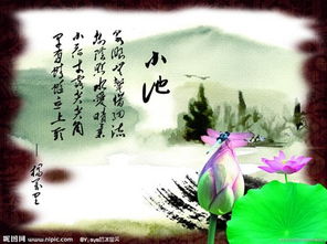 涼快,詩(shī)句,夏季