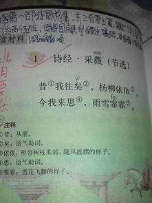 描寫(xiě)雨的古詩(shī)句六級