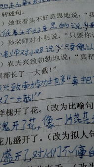 關(guān)于寫(xiě)花的比喻古詩(shī)句