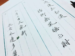 關(guān)于手留香的詩(shī)句
