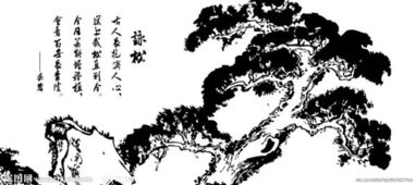 關(guān)于有松魄的詩(shī)句