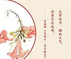 詩(shī)句,元宵節,飲酒