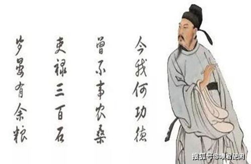 有關(guān)于白居易的詩(shī)句有哪些
