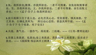 詩(shī)句,初中,常見(jiàn)