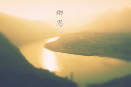 鄉思之情的古詩(shī)詩(shī)句