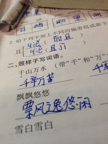 關(guān)于雪的詩(shī)句和四字詞語(yǔ)