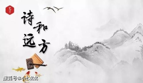 寫(xiě)自己兒子的詩(shī)句,寫(xiě)自己老了的詩(shī)句,寫(xiě)自己生日的詩(shī)句