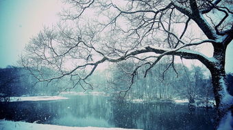 描寫(xiě)雪景的詩(shī)句古詩(shī)詞