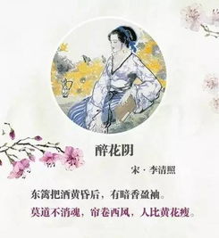 若古詩(shī)句