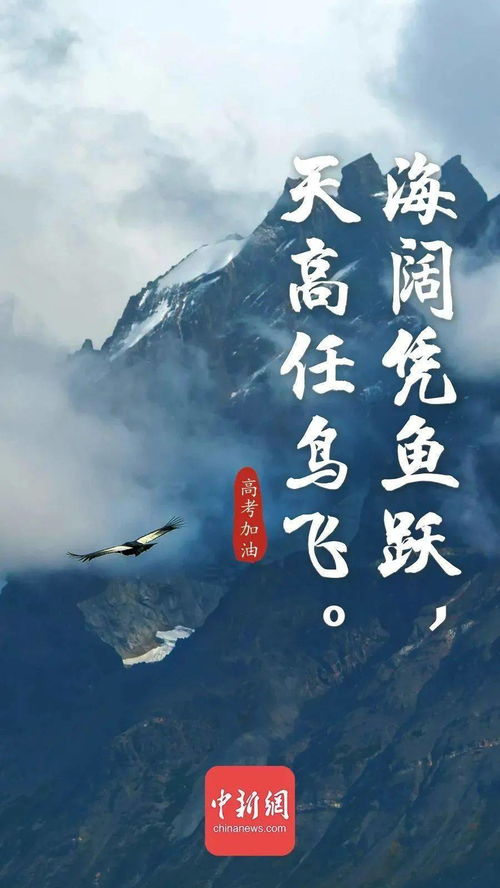 詩(shī)句,細致