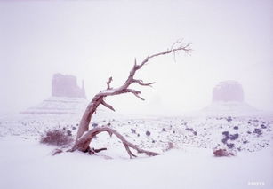 關(guān)于描寫(xiě)冬雪的詩(shī)句